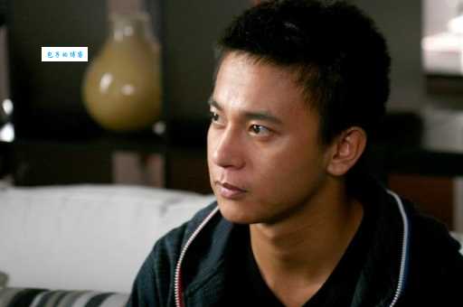 内地男演员崔林主演的热门电视剧和电影推荐