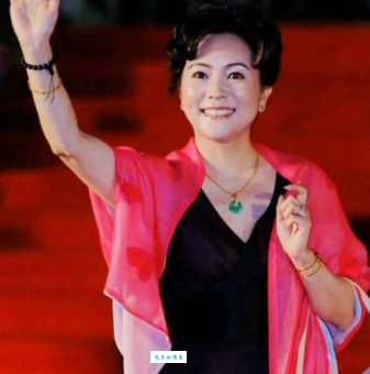 洪学敏中国内地女演员的代表角色与演技分析