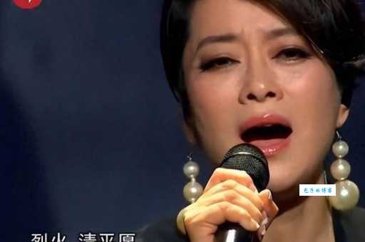 毛阿敏经典歌曲盘点那些年感动我们的声音