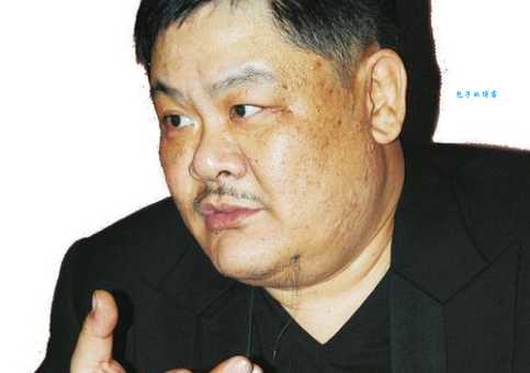 林雪中国香港影视男演员的演技特点与角色塑造分析