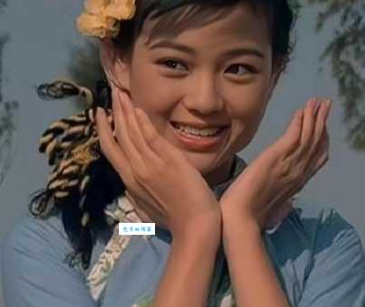 刘小慧近况如何中国香港女演员歌手最新动态