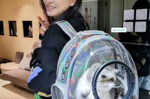 刘小慧近况如何中国香港女演员歌手最新动态