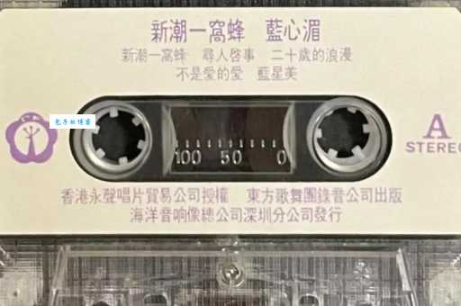 蓝心湄是谁 台湾全能艺人歌手主持演戏样样行