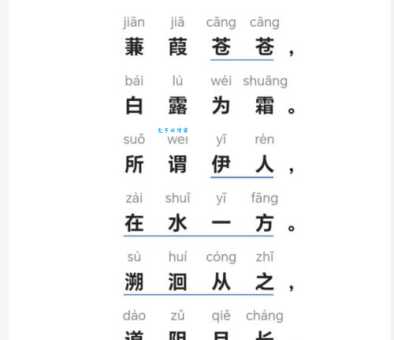 蒹葭怎么读教你快速掌握正确读音