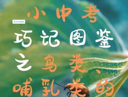四个心脏的动物是什么 这种生物太特别了
