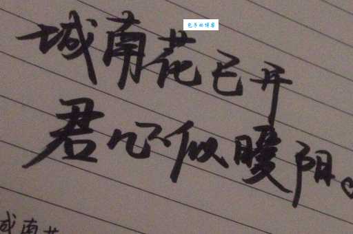 城南花已开是什么意思网友热议背后的真相