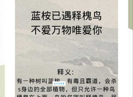 蓝桉已遇释槐鸟下一句是什么这句诗的后半段揭秘