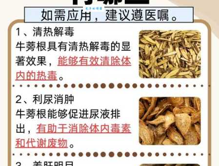 什么是牛蒡 牛蒡的营养价值你了解多少