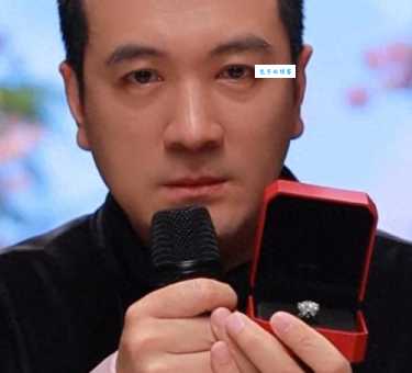 杨子简介从演员到企业家的华丽转身