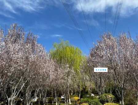 小爸爸拍摄地点在哪里这些取景地美翻了