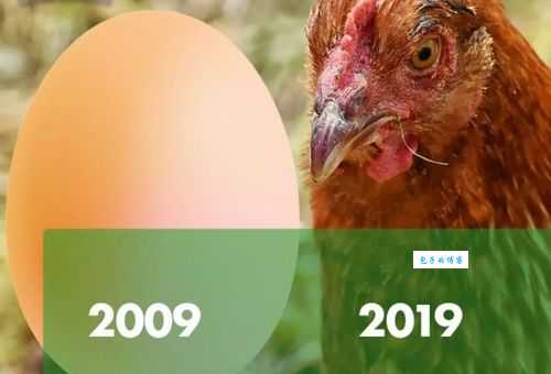 我们这十年百科总结十年成就与挑战