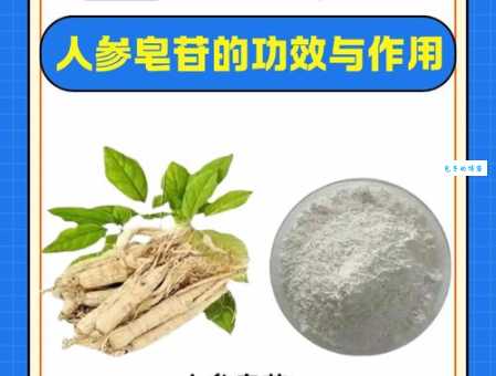 人参皂苷百度百科全知道 人参皂苷的提取与应用