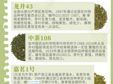 龙井茶简介带你认识中国十大名茶之一