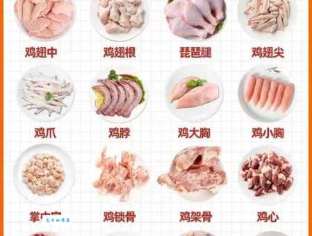 鸡肋什么意思 教你识别生活中的鸡肋物品