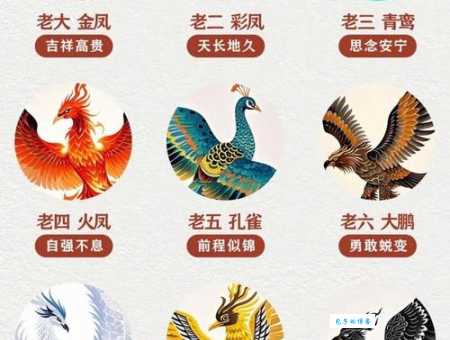 凤是公是母凤凰的性别特征与传说故事详解