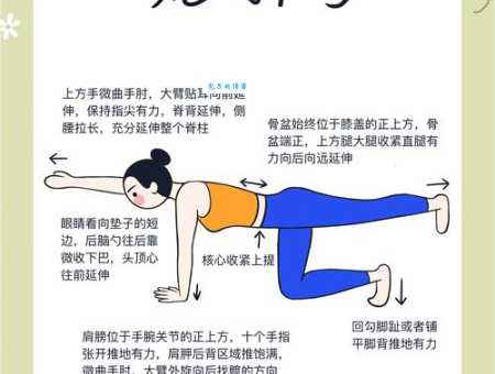 豁虎跳的意思简单来说就是这样的动作