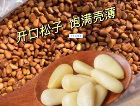 中国松子产地排名 哪个省的松子最出名