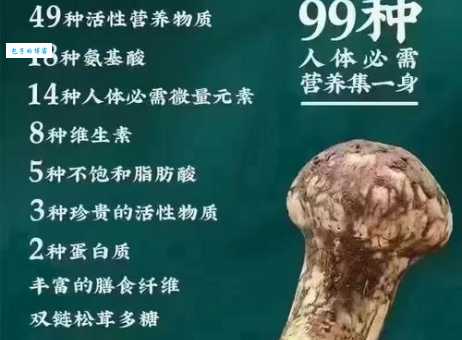松茸小知识人们所说的松茸其实是真菌的繁殖器官