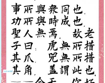 其所是什么意思 日常用法和例句解析