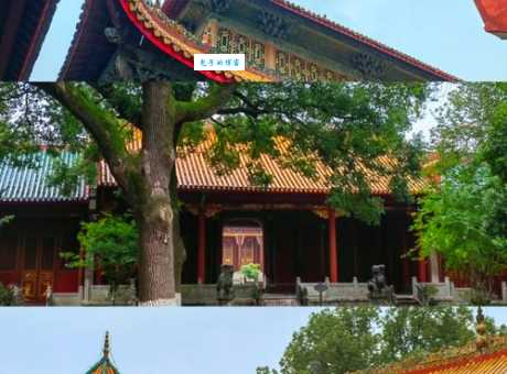澧县历史文化 湖南常德澧县有哪些名胜古迹