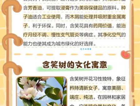 含树是什么意思 网络流行语解析与用法介绍