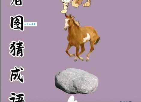 马马虎虎打一生肖猜猜看是什么动物