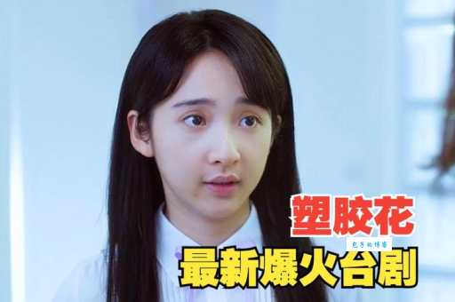 塑胶花台剧上映信息最新更新