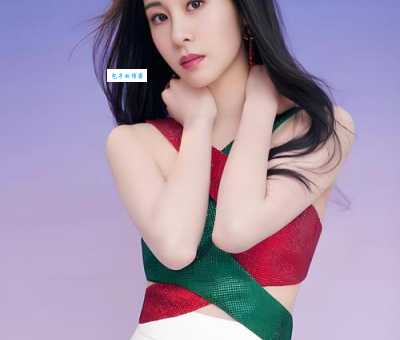 年轮演员表一览表剧情与演员的完美结合