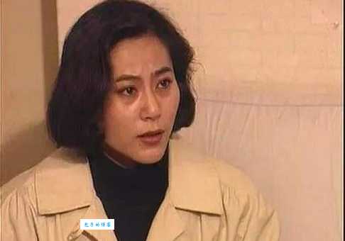 年轮演员表一览表剧情与演员的完美结合