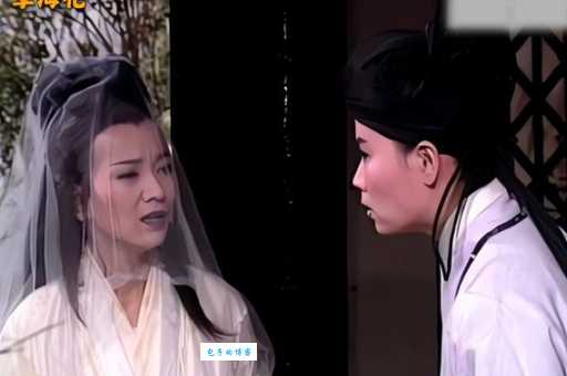 新孽海花传奇演员表曝光主演阵容大揭秘