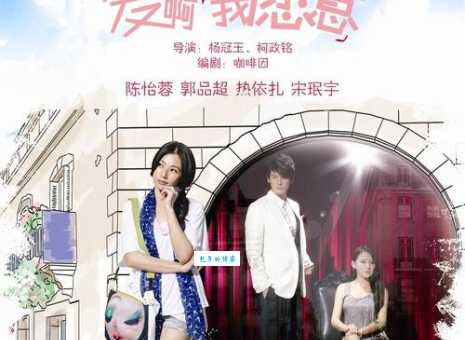 爱啊哎呀我愿意2012年偶像剧剧情介绍与演员表