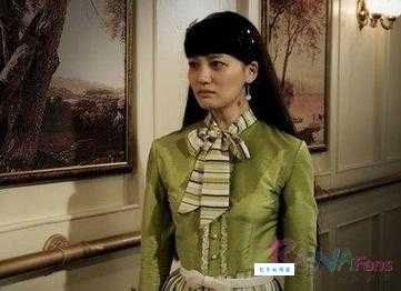 狐步谍影2008年杨文军执导的电视剧剧情介绍