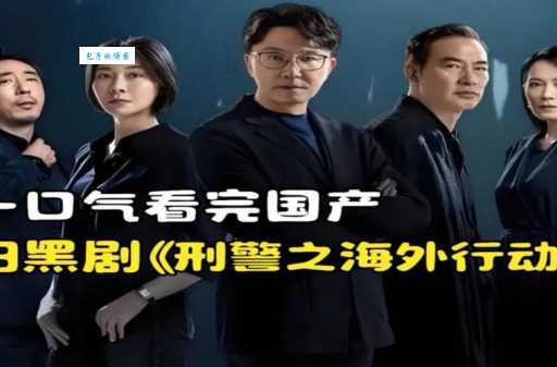 海外行动剧情分集介绍 每集故事梗概一目了然
