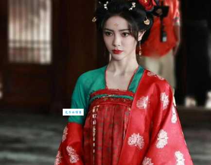 大唐美人天下演员表一览盛世美颜谁最惊艳