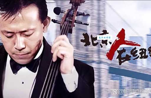 北京人在纽约剧情介绍 讲述中国人在美国的奋斗故事