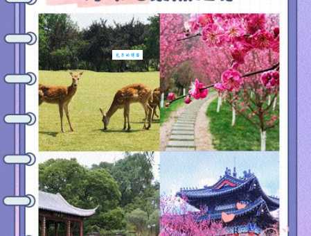南京梅花山门票包含哪些景点游玩攻略推荐