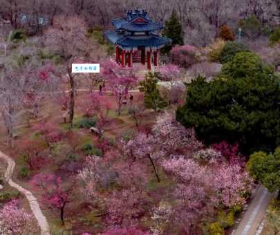 南京梅花山门票包含哪些景点游玩攻略推荐