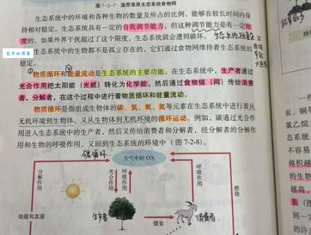 食物链指什么 生物之间如何相互依存