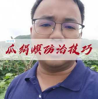 瓜绢螟防治最佳时期 什么时候打药最有效