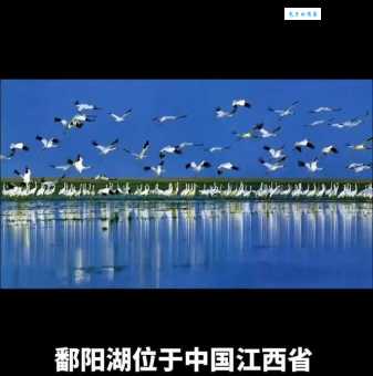 鄱阳湖位于哪个省 中国最大淡水湖在江西