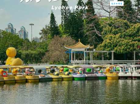 深圳荔枝公园游玩攻略 周末遛娃好去处