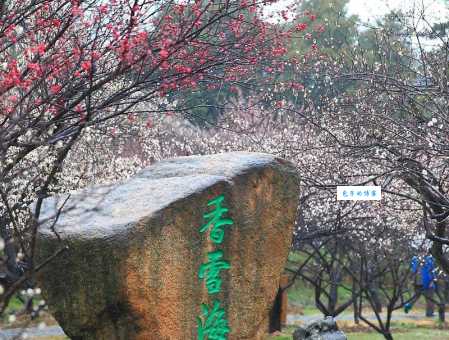 苏州香雪海景点介绍 赏梅胜地不容错过