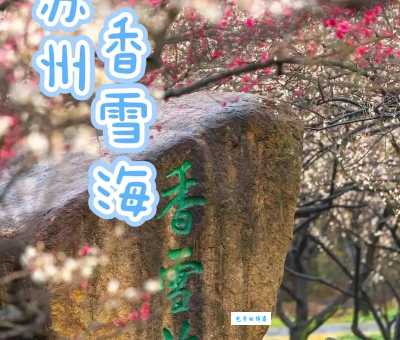 苏州香雪海景点介绍 赏梅胜地不容错过
