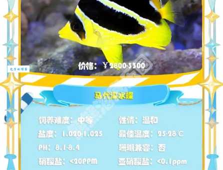鲆科是什么 鲽形目下的鱼类家族大揭秘