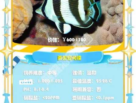 鲆科是什么 鲽形目下的鱼类家族大揭秘