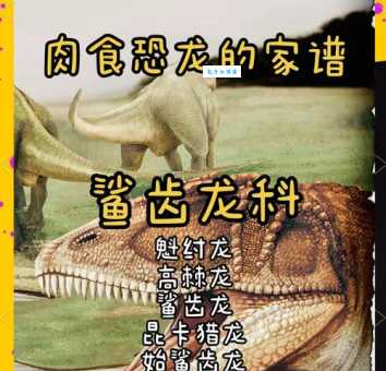 肉食性动物有哪些 揭秘以动物为食的凶猛猎手