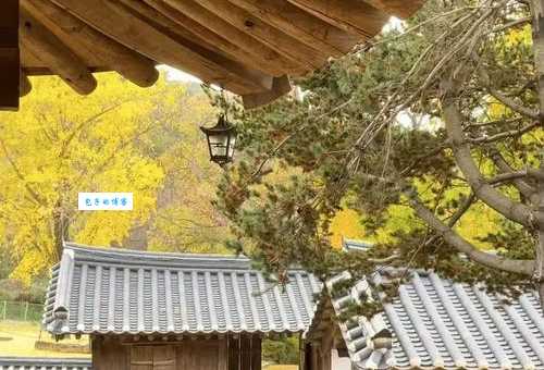 韩国密阳市旅游攻略带你玩转庆尚南道必去景点