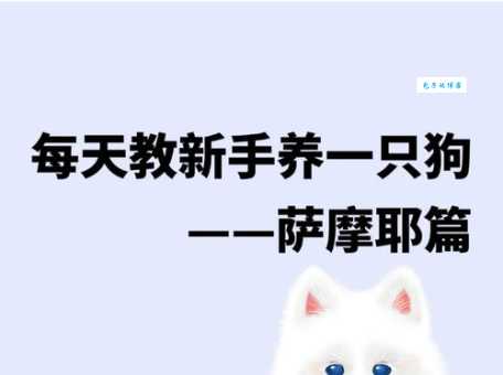 萨摩耶犬好养吗 原产俄罗斯的雪橇犬饲养指南