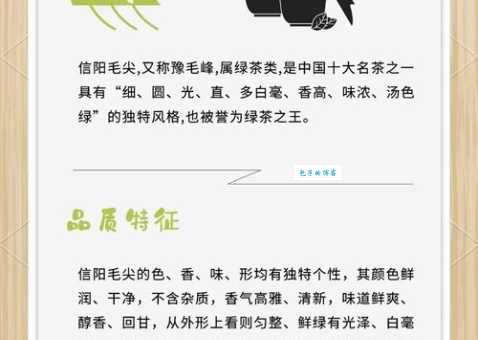 信阳毛尖简介为什么它被誉为茶中精品