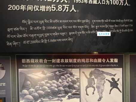 噶厦制度探究旧西藏的政治管理体系